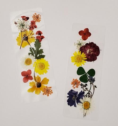 Image for event: Pressed Flower Bookmarks