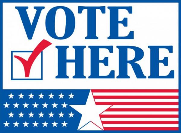 Image for event: Will County Early Voting for the General Election