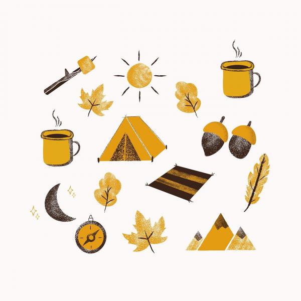 Image for event: Camp Fire's Community Fall Fest